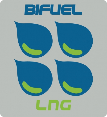 BLUE FUEL srl