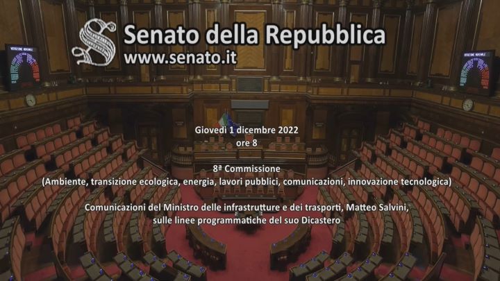 AUDIZIONE_SENATO_SALVINI_TRANSPORTONLINE