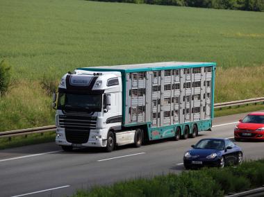 Live_animal_transport_European_Commission_tables_improved_conditions