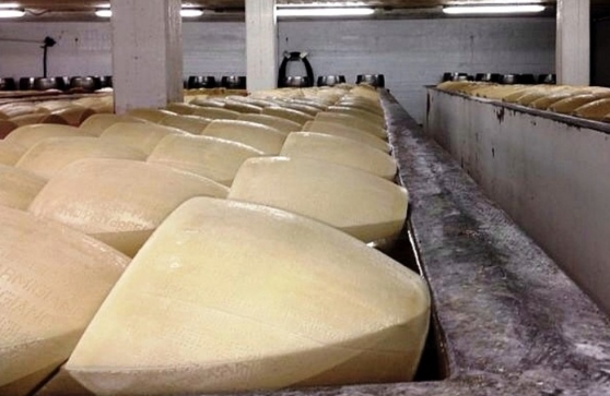 PARMIGGIANO