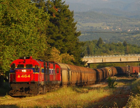 trainose-train