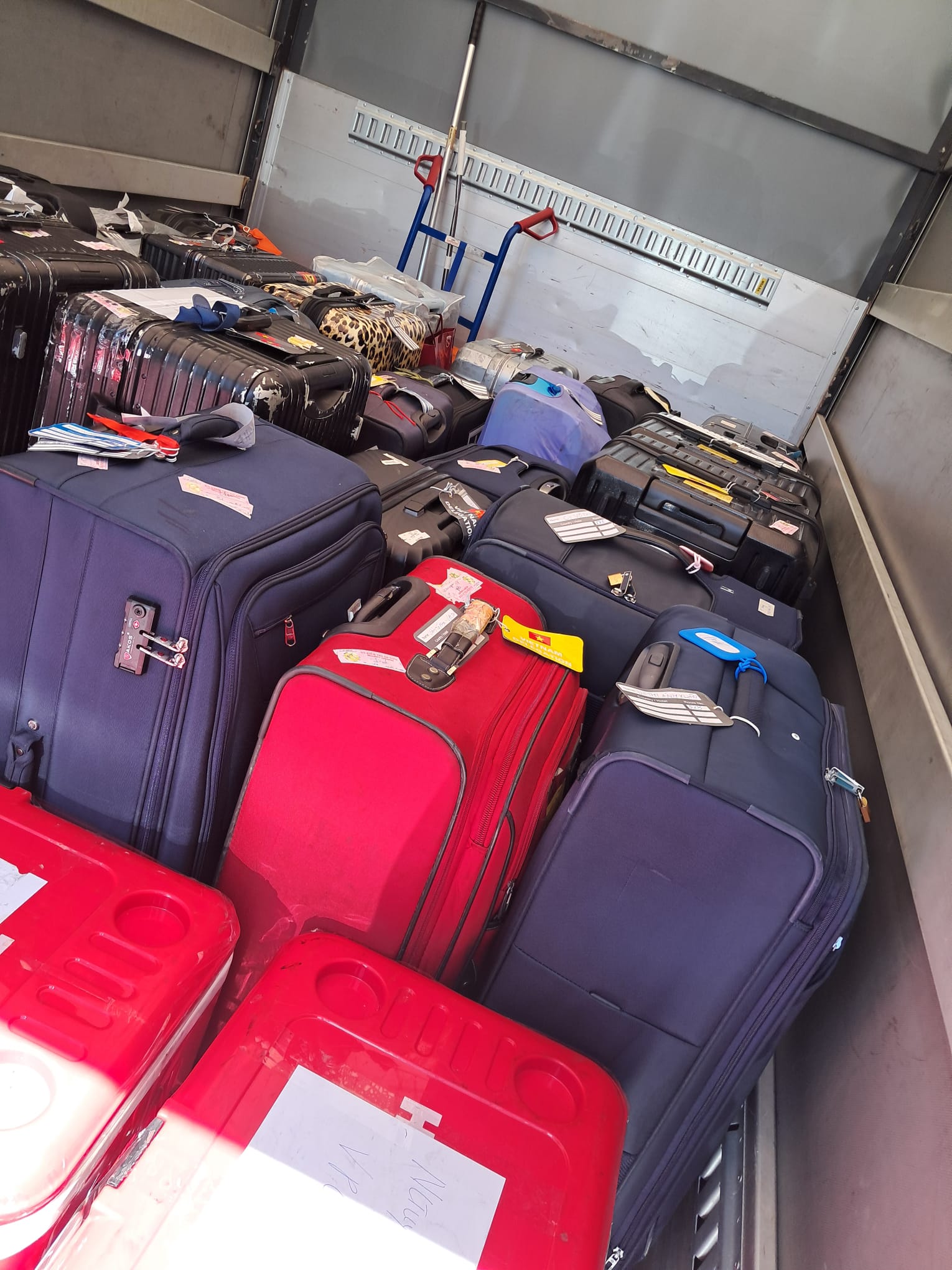 trasporto van bagagli edsita