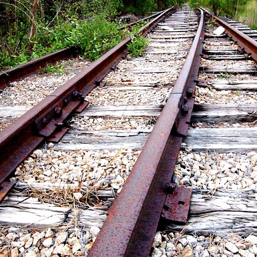 Cina vuole costruire la ferrovia Brasile-Per