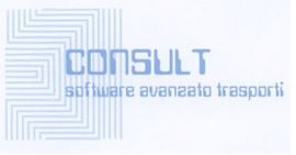 CONSULT: una societ che offre soluzioni avanzate per corrieri e per autotrasportatori