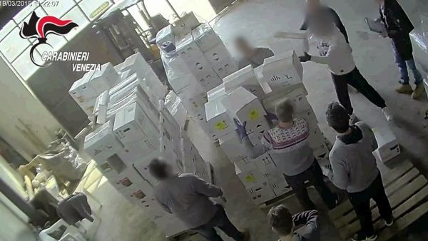 Quaranta furti nelle aziende presa la banda
