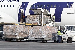 Iata: crescono ad aprile i mercati cargo
