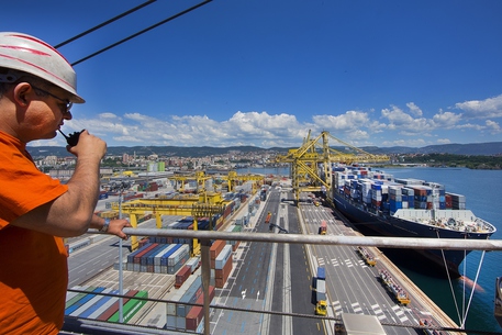 Operativa l'agenzia per il lavoro portuale del Porto di Trieste (ALPT)