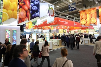 Countdown Fruit Logistica: presenza record per l'Italia
