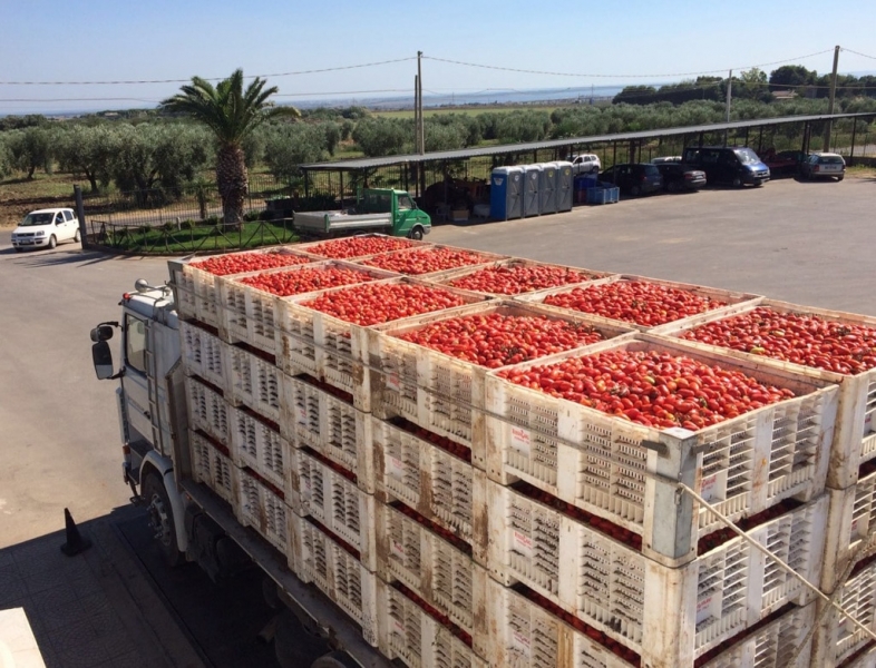 Foggia: trasporto abusivo nella raccolta del pomodoro. Assotir incontra il viceprefetto Lupo