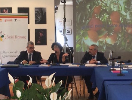 Sicilia: sfida su logistica e risorse idriche per l'agrumicoltura