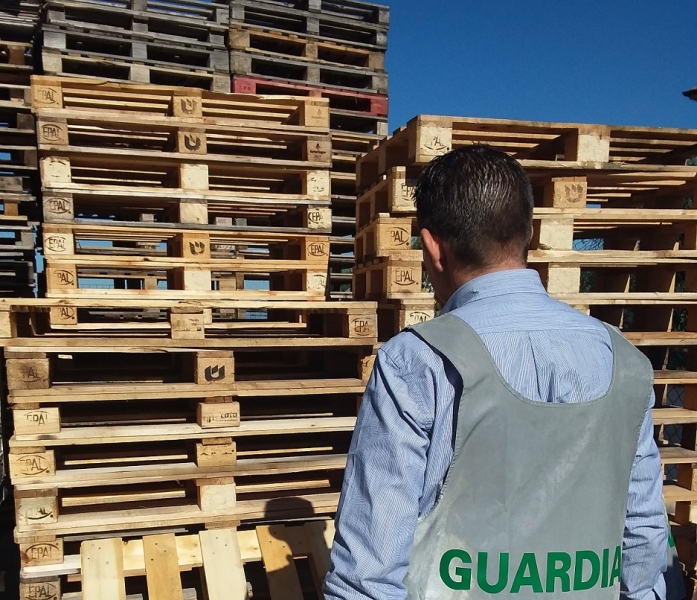 Sequestrata un'azienda abusiva di pallet a Palermo
