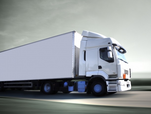 Esame Gestore dei Trasporti, sospesi 12 quiz