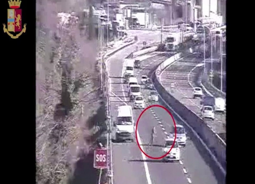 Perde la merce sull'A11: fa retromarcia in autostrada e attraversa la carreggiata