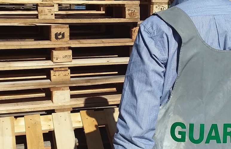 Maxi frode fiscale con i pallet: sequestrati beni a quattro aziende
