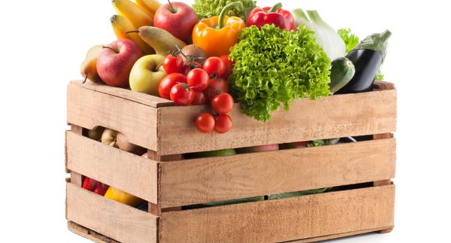 Agrifood: rincaro dei costi per la logistica