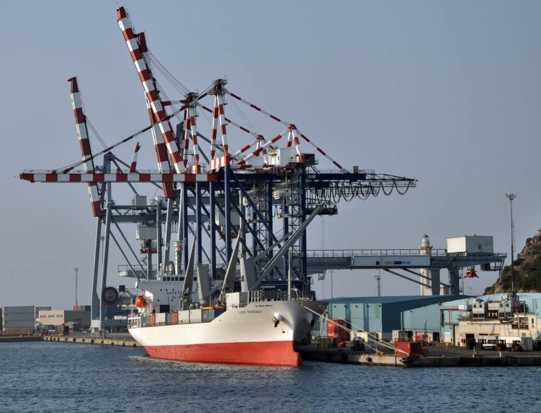 Porto di Savona-Vado, al via le prime funzionalità del Port community system operativo