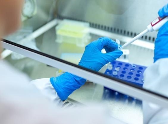 PTV GROUP al fianco di chi salva vite umane con un software gratuito per la gestione dell'emergenza sanitaria