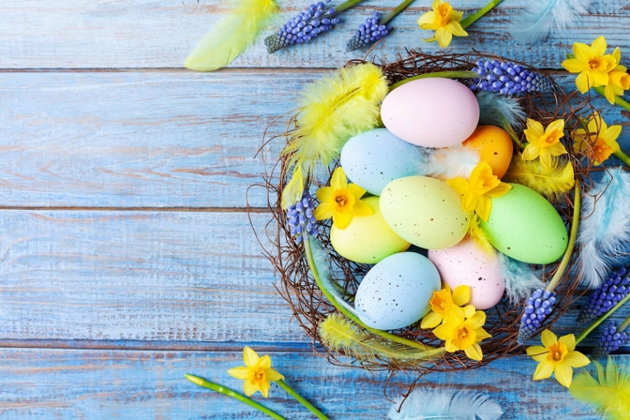 Buona Pasqua da Transportonline