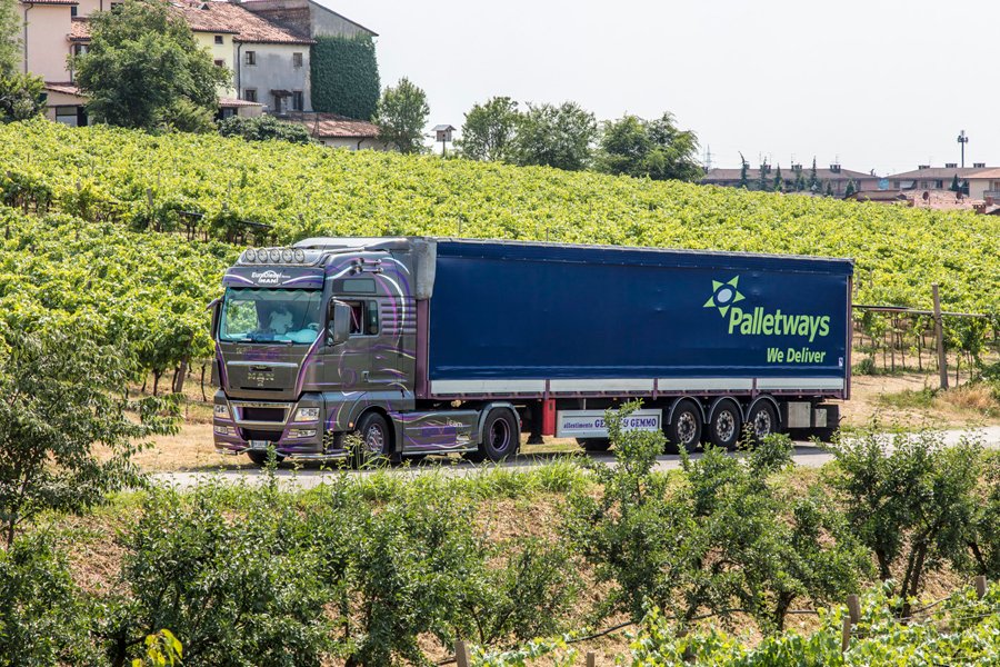 Palletways Italia rinnova il suo sostegno alla rassegna ''Cinemadivino''