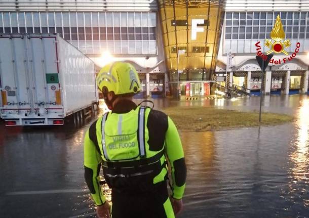 Situazione ''fuori controllo'' al Cargo di Malpensa, gli spedizionieri chiedono manutenzione