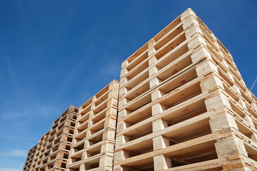 Il Senato approva la norma sui Pallet
