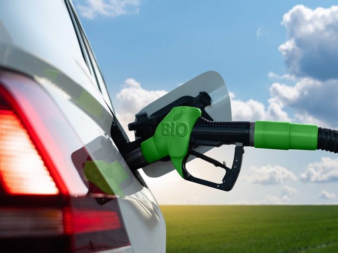 Artusi (Federauto Trucks): «Promuovere i carburanti ‘carbon neutral’ oltre il phase-out del 2035»