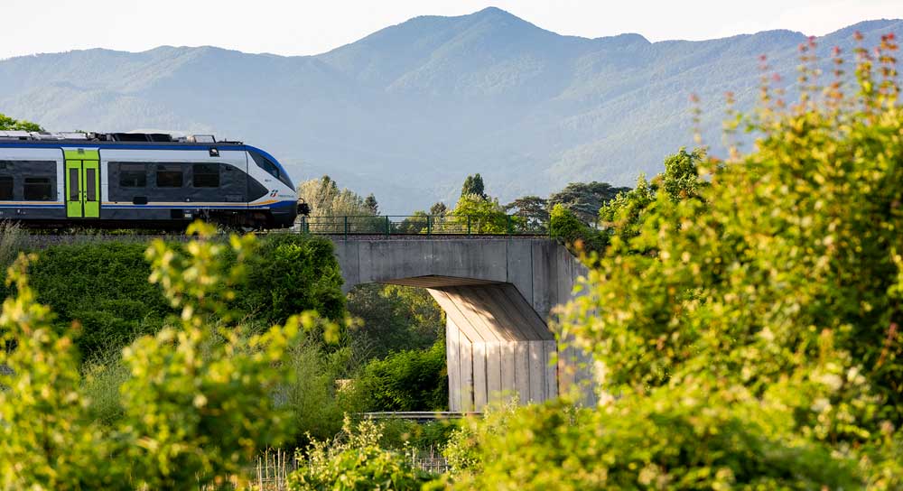 FS lancia gara da 130 milioni per venti impianti fotovoltaici