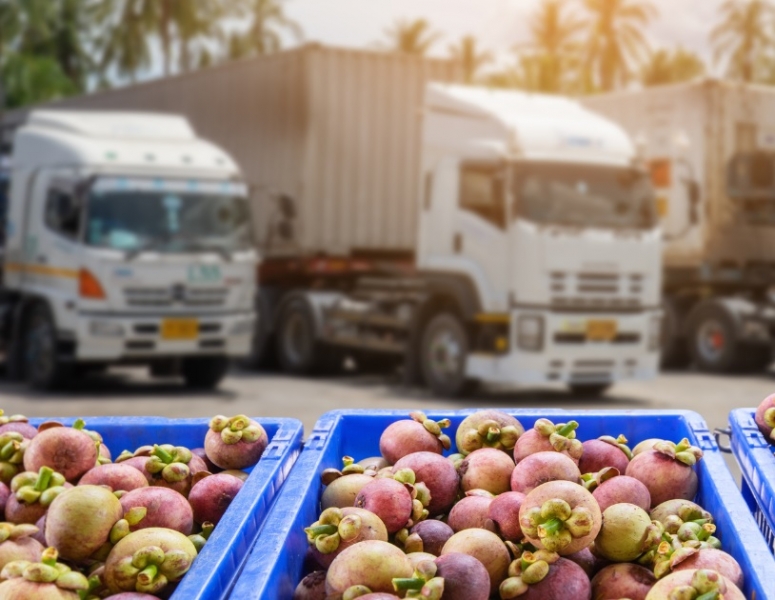 Stanziati 500 milioni per lo sviluppo della logistica agroalimentare