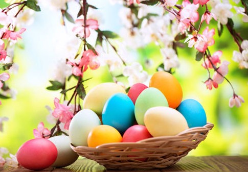 Buona Pasqua da Transportonline