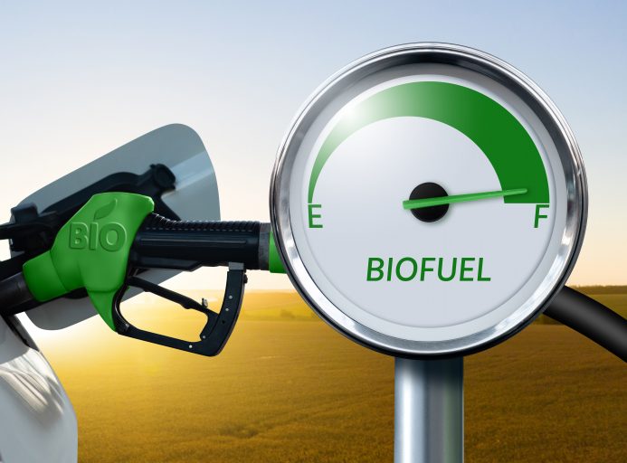 Federauto Trucks&Van, Artusi: ''Biocarburanti e target realistici''