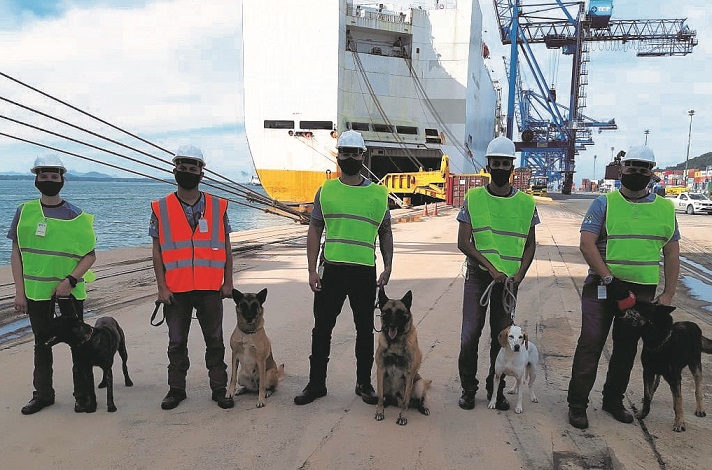 Sventato l’imbarco di stupefacenti su nave del Gruppo Grimaldi