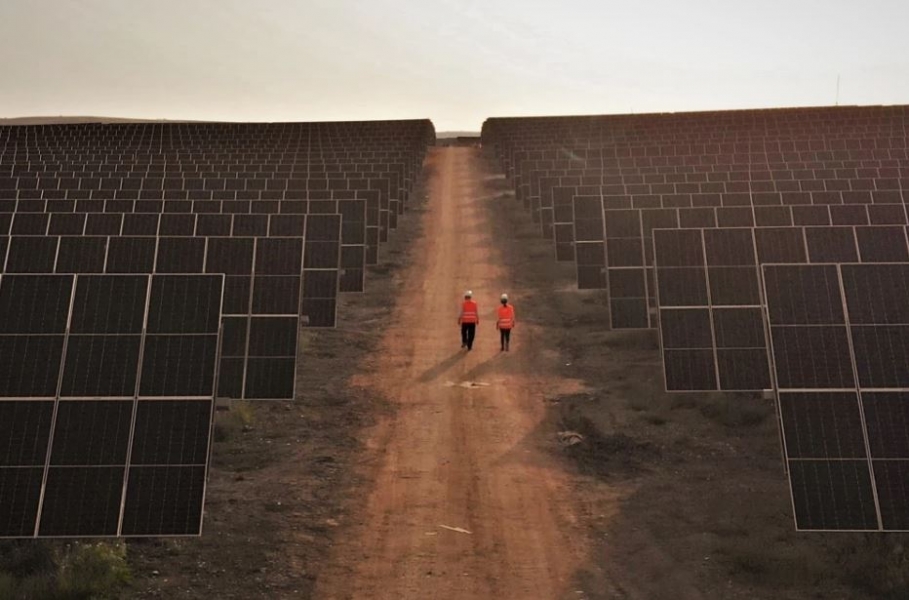 Amazon e ENGIE: inaugurato in Sicilia il più grande parco agrivoltaico d'Italia