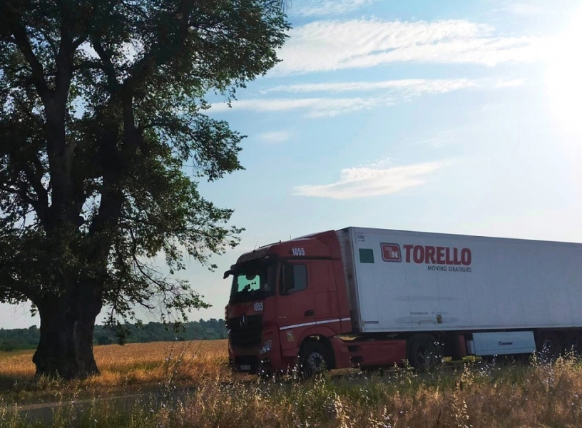 Torello e il contributo sostenibile per San Giovanni Lupatoto