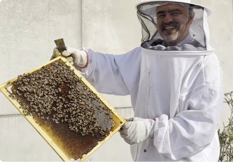 ''SUL TETTO DELL'AZIENDA'' - Cosa faremo da Grendi