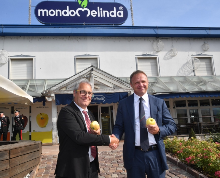 Una funivia per il trasporto delle mele: il progetto Melinda per ridurre le emissioni di CO2