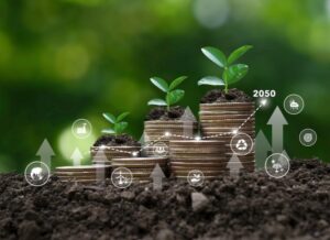 Legge Nuova Sabatini Green: come poterne beneficiare