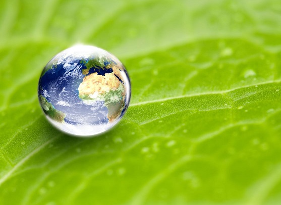 ESG: CHEP Europe riceve il massimo punteggio da Ecovadis