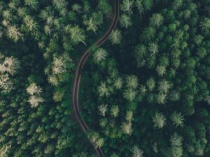 Parlamento europeo propone ''CountEmissionsEU'', un quadro comune per quantificare le emissioni di gas serra nei trasporti
