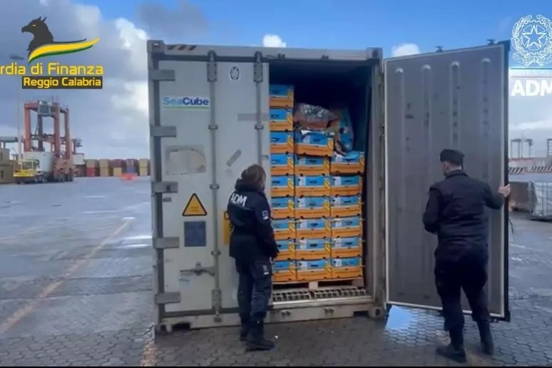 Sequestrati 27 chili di cocaina nel porto di Gioia Tauro