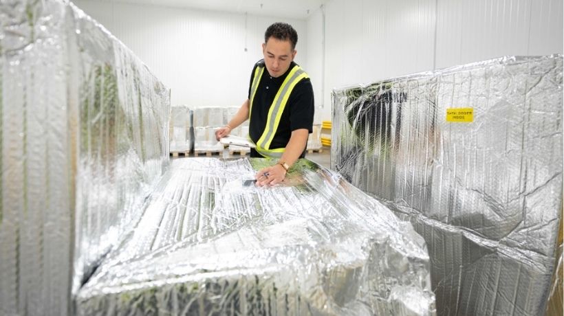 Logistica healthcare UPS investe 48 milioni nella cold chain transportonline